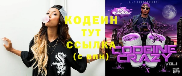 молекула духа Пересвет