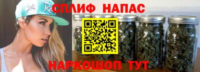 СК Пенза