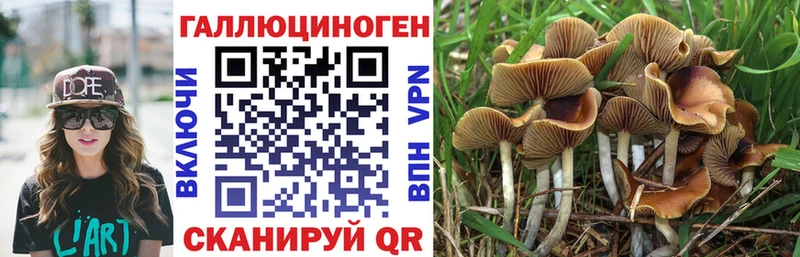 Галлюциногенные грибы GOLDEN TEACHER  Сухой Лог 
