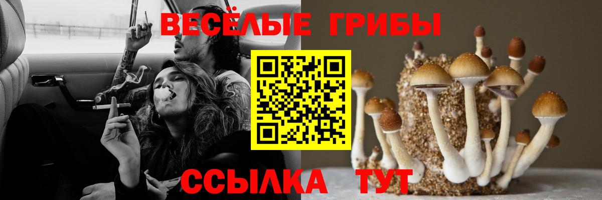 Сухой Лог  Псилоцибиновые грибы прущие грибы  Галлюциногенные грибы MAGIC MUSHROOMS  Вход с VPN 